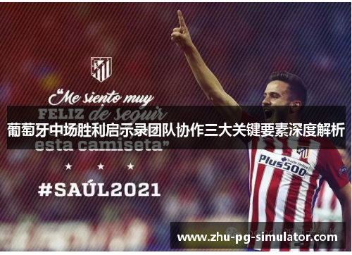 葡萄牙中场胜利启示录团队协作三大关键要素深度解析 葡萄牙中场胜利启示录团队协作三大关键要素深度解析