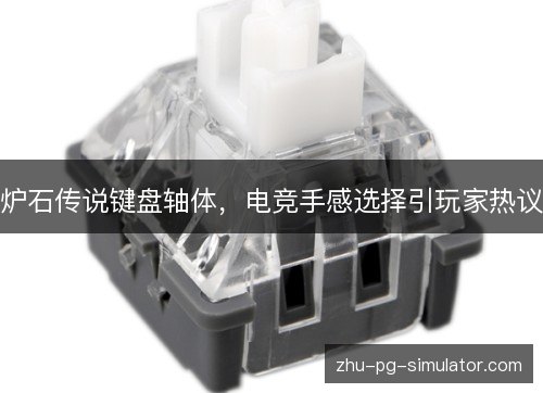 炉石传说键盘轴体，电竞手感选择引玩家热议